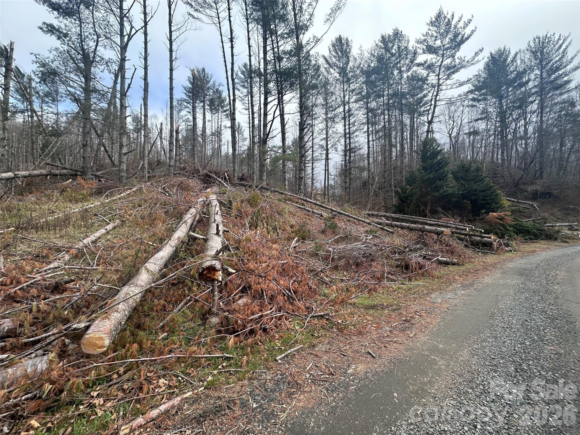 99999 Big Rock Creek Drive - Photo 6