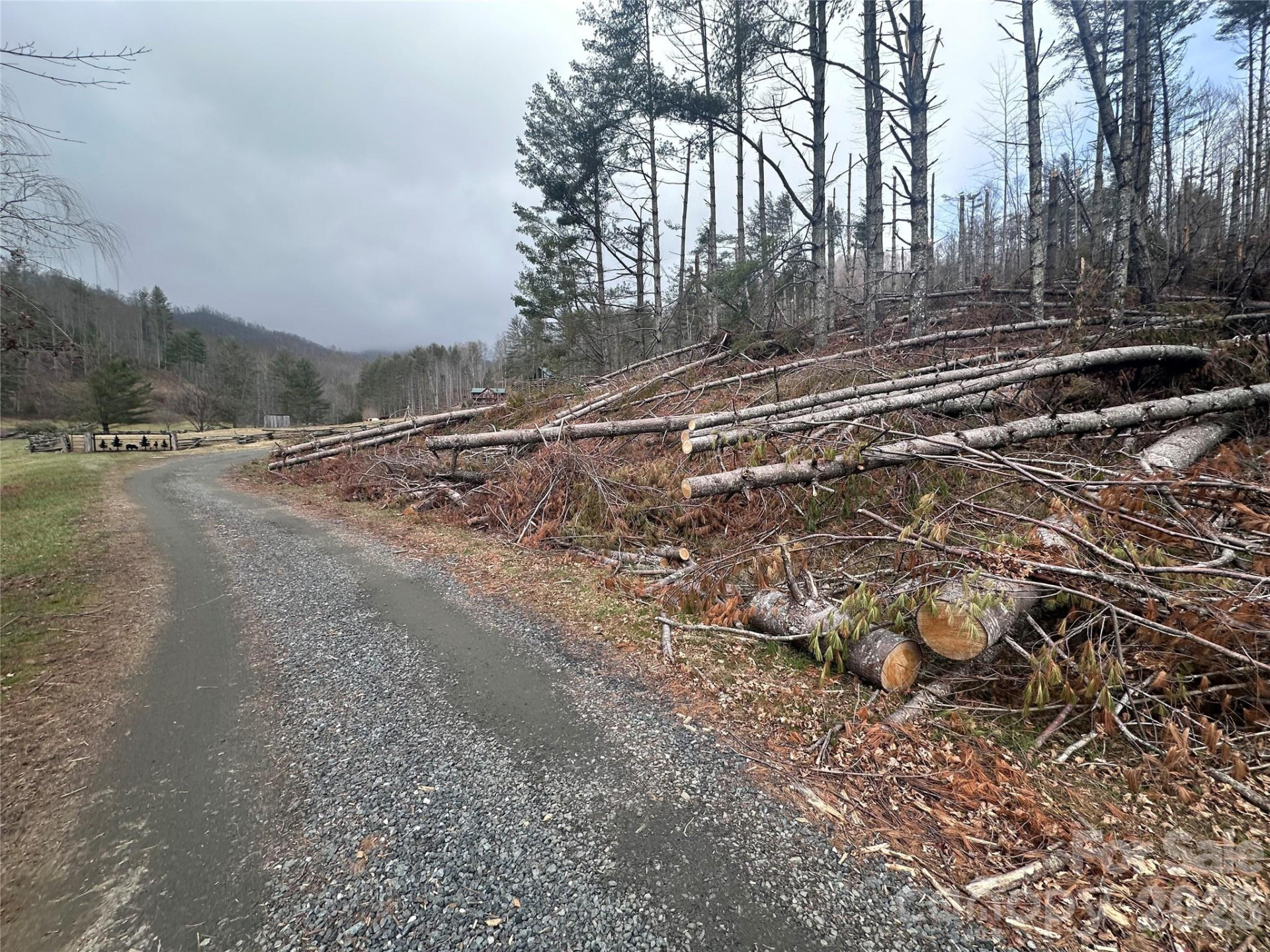 99999 Big Rock Creek Drive - Photo 8