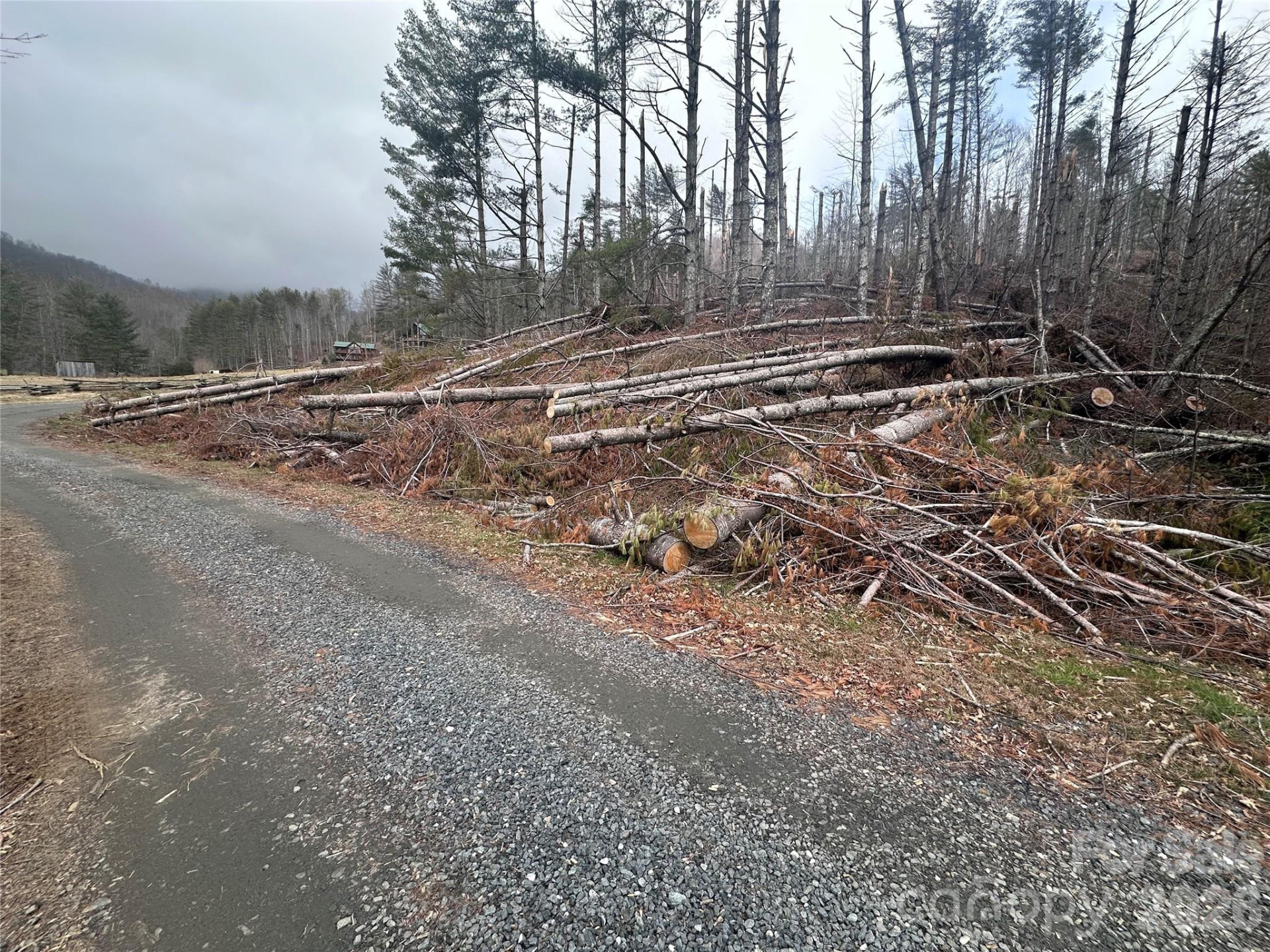 99999 Big Rock Creek Drive - Photo 9