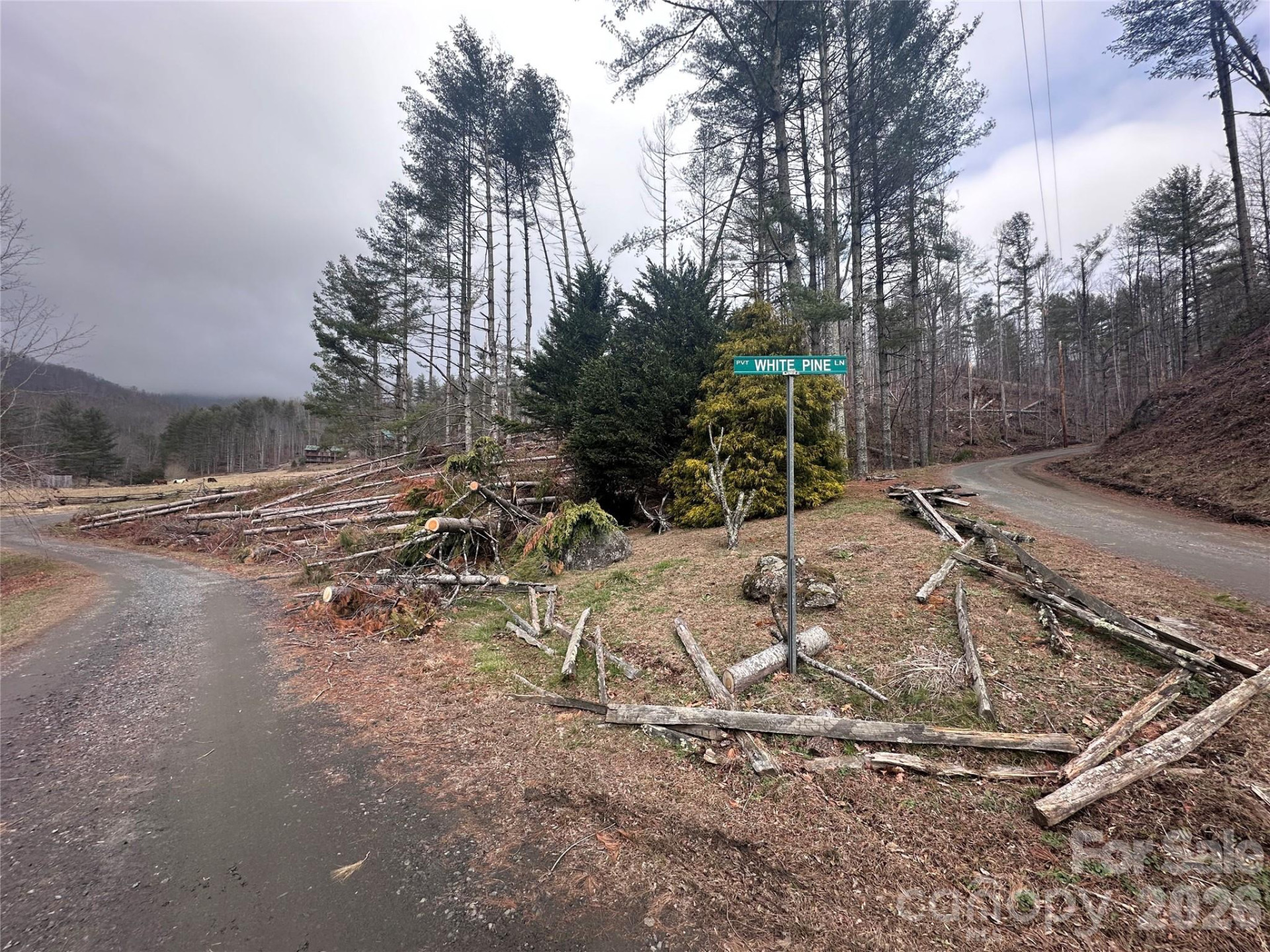 99999 Big Rock Creek Drive - Photo 10