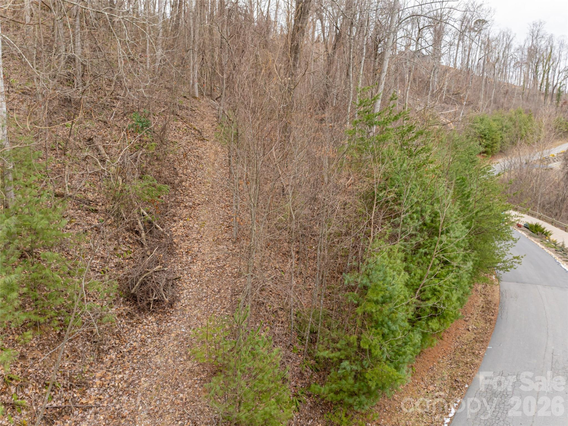 74 Longspur Lane - Photo 8