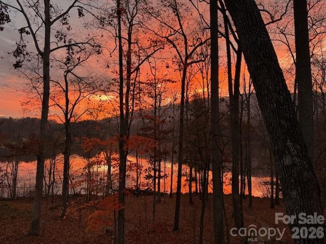 47 Twilight Sedge Drive - Photo 48