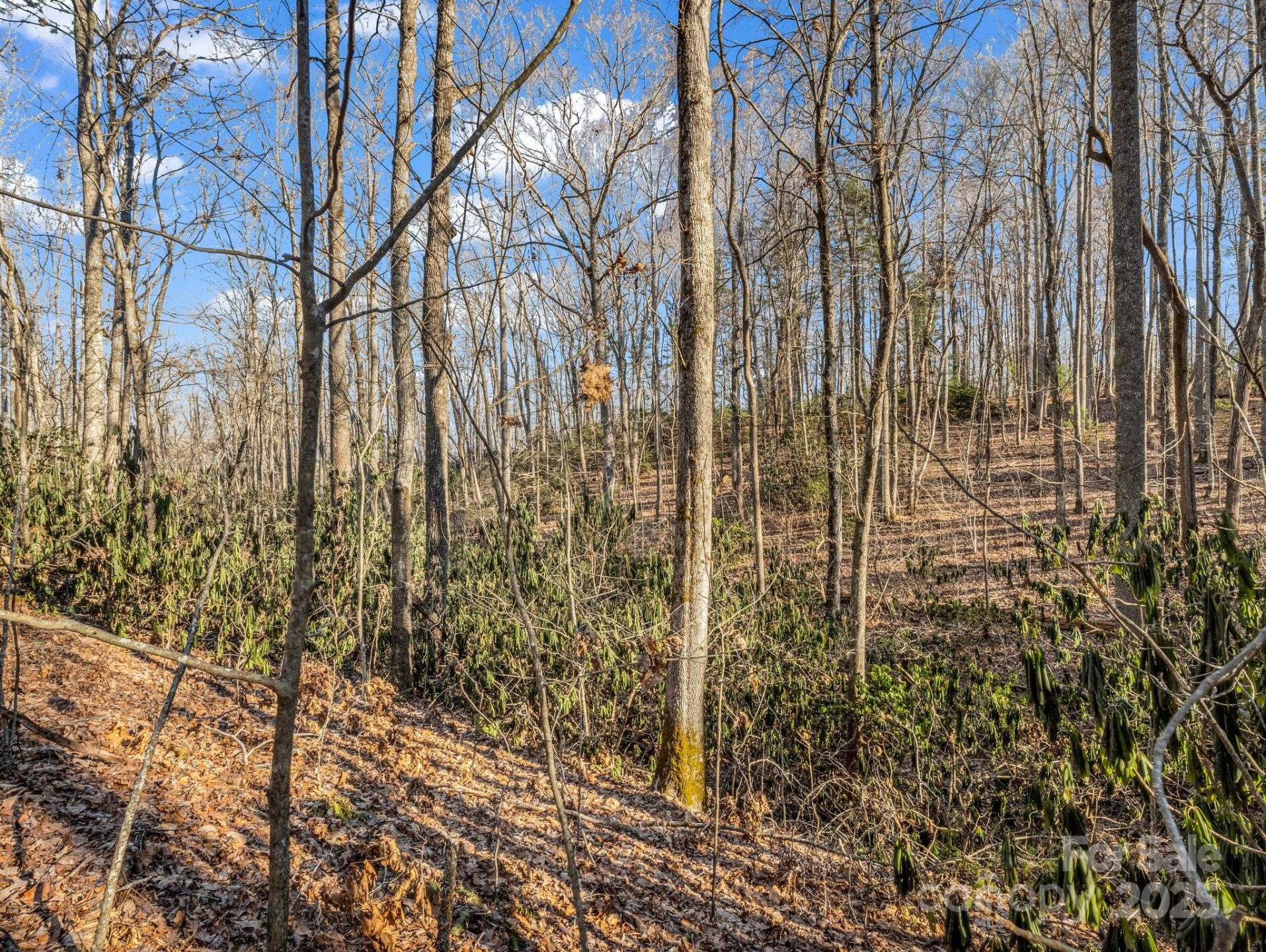 99999 Prestwick Drive #28 - Photo 2