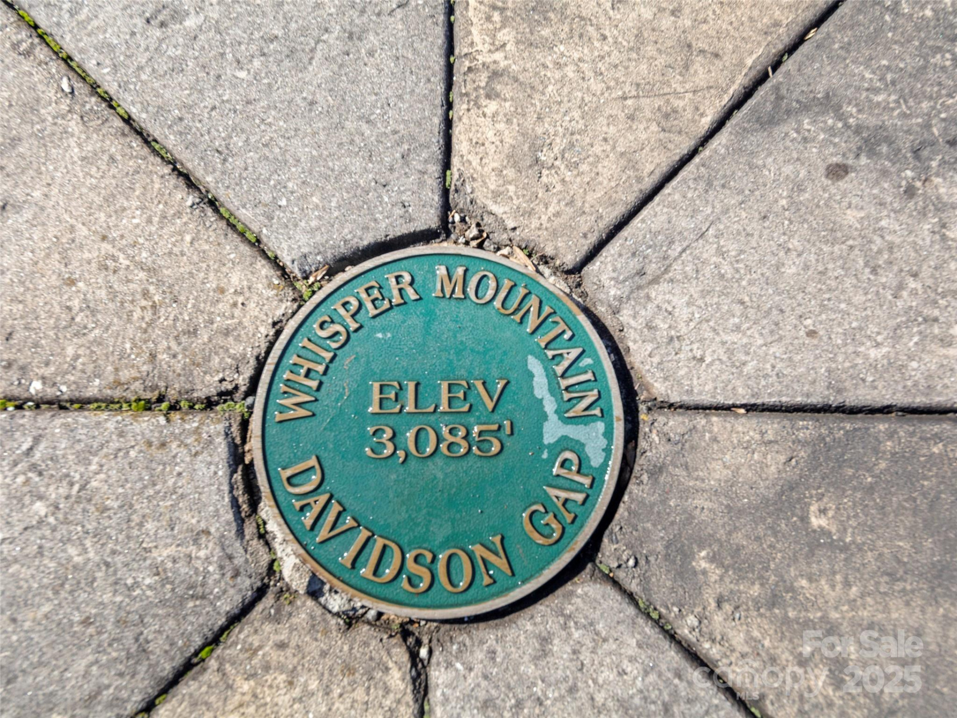 534 Kendal Drive #20 - Photo 14