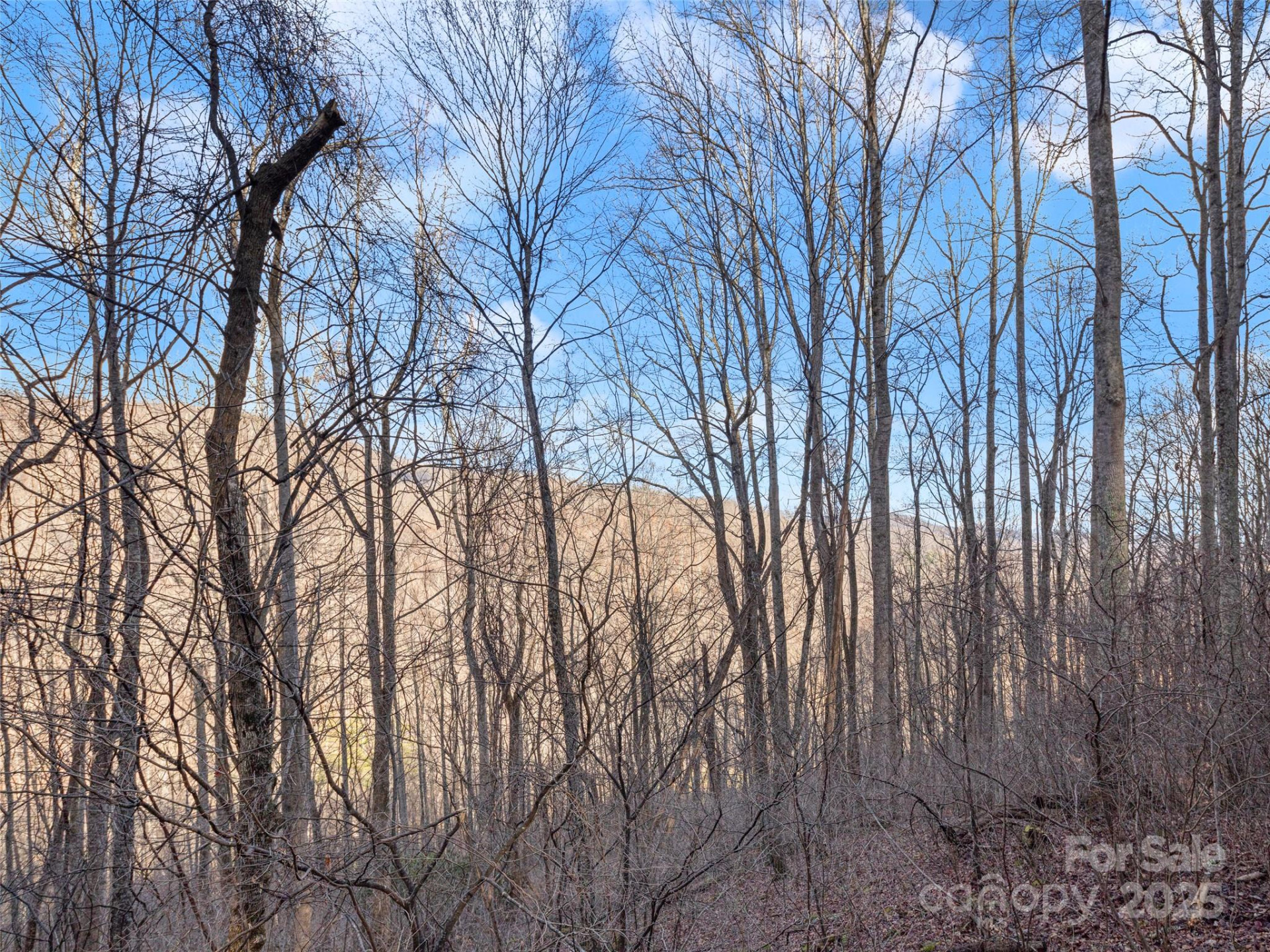 534 Kendal Drive #20 - Photo 5