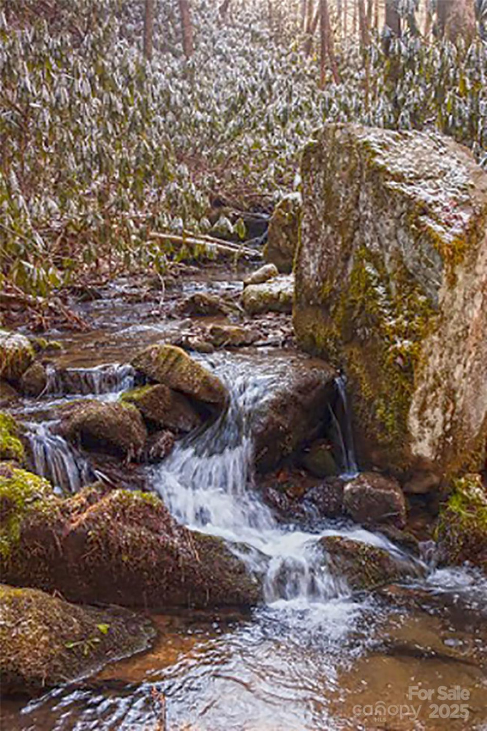 3076 Anderson Cove Road - Photo 3