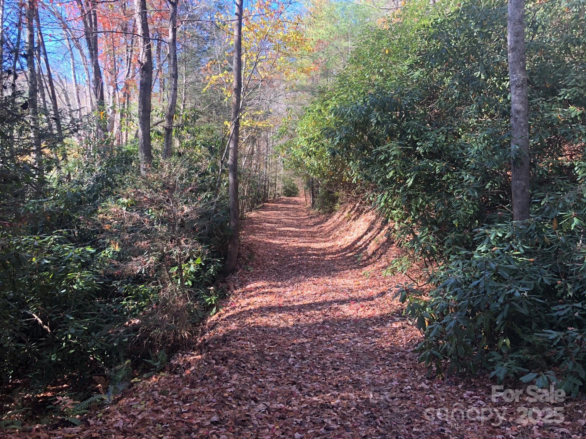 3076 Anderson Cove Road - Photo 30