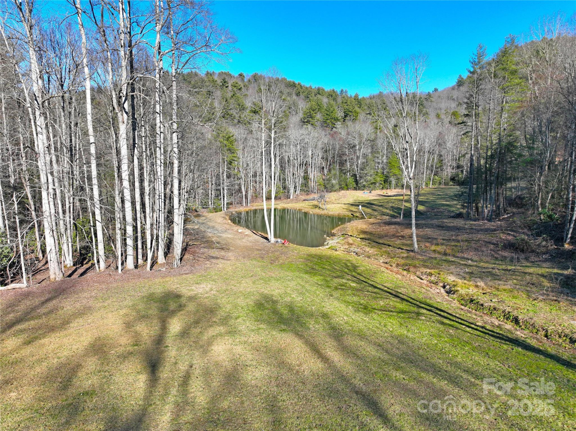 3076 Anderson Cove Road - Photo 4