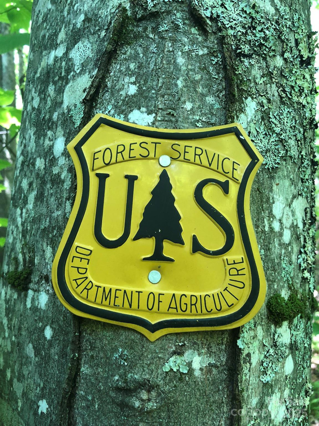 3076 Anderson Cove Road - Photo 31