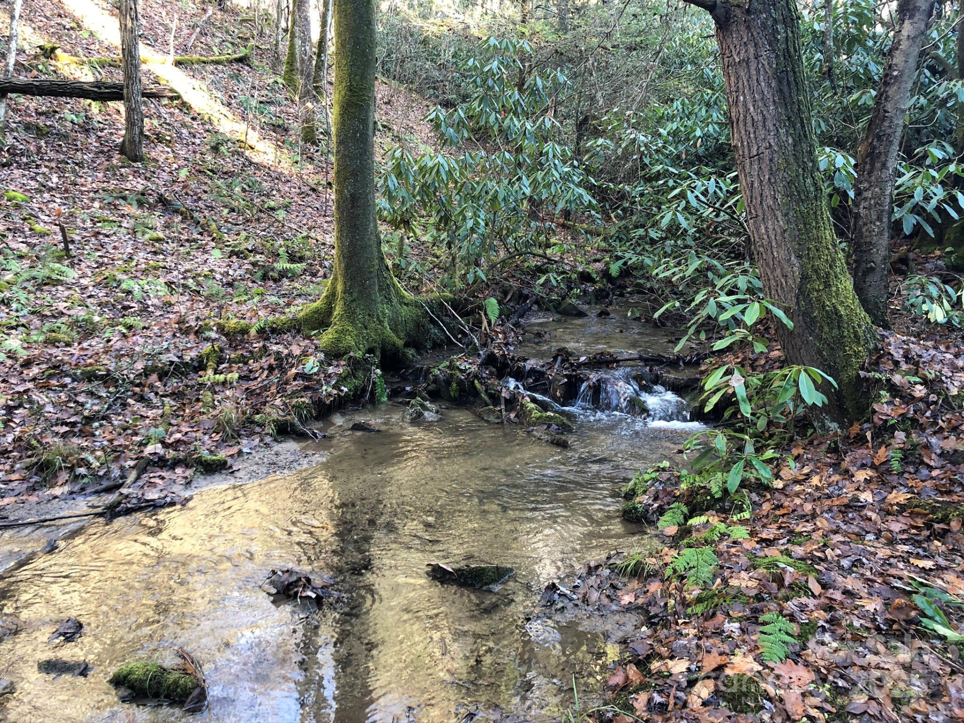 3076 Anderson Cove Road - Photo 32