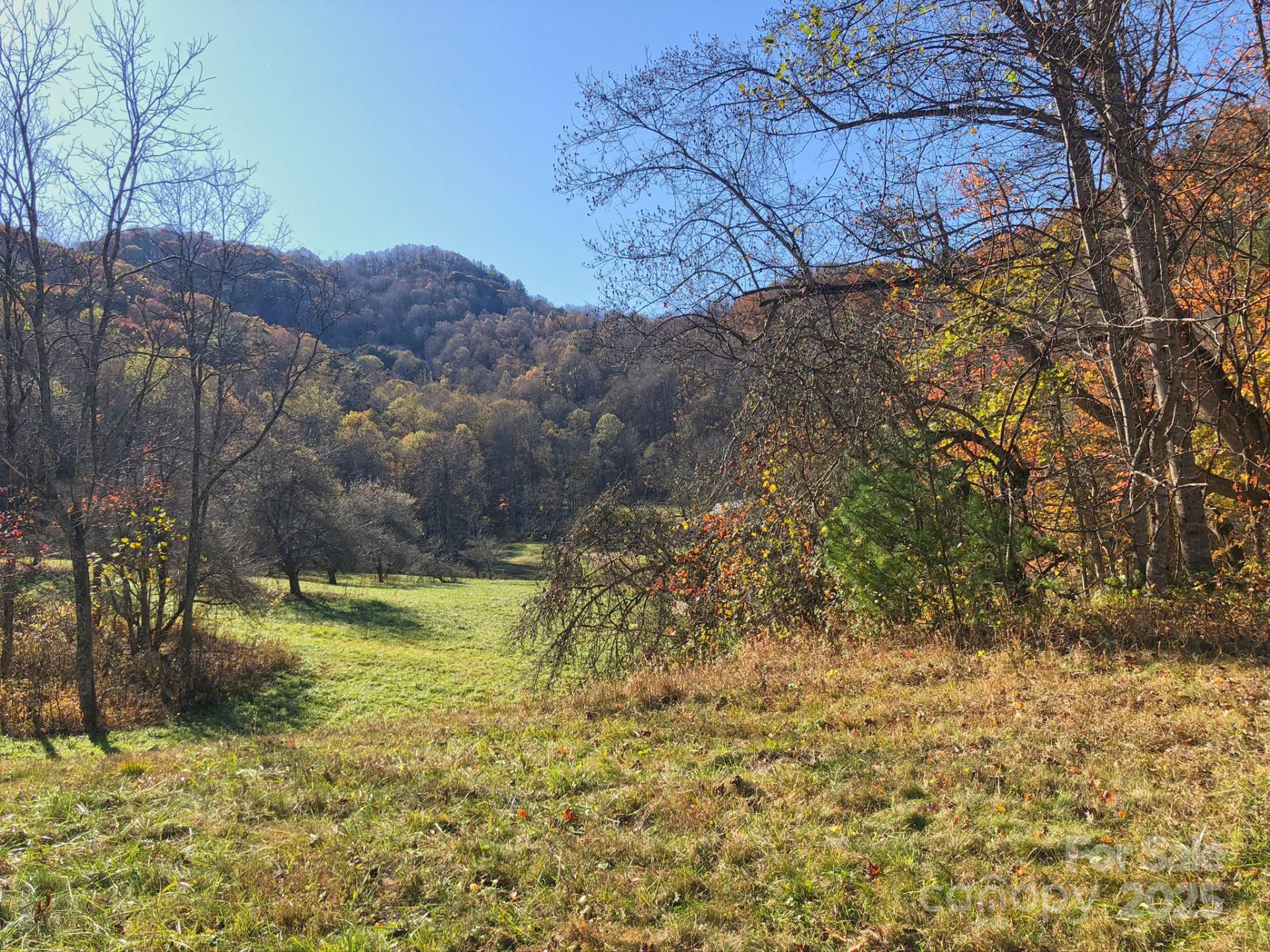 3076 Anderson Cove Road - Photo 35