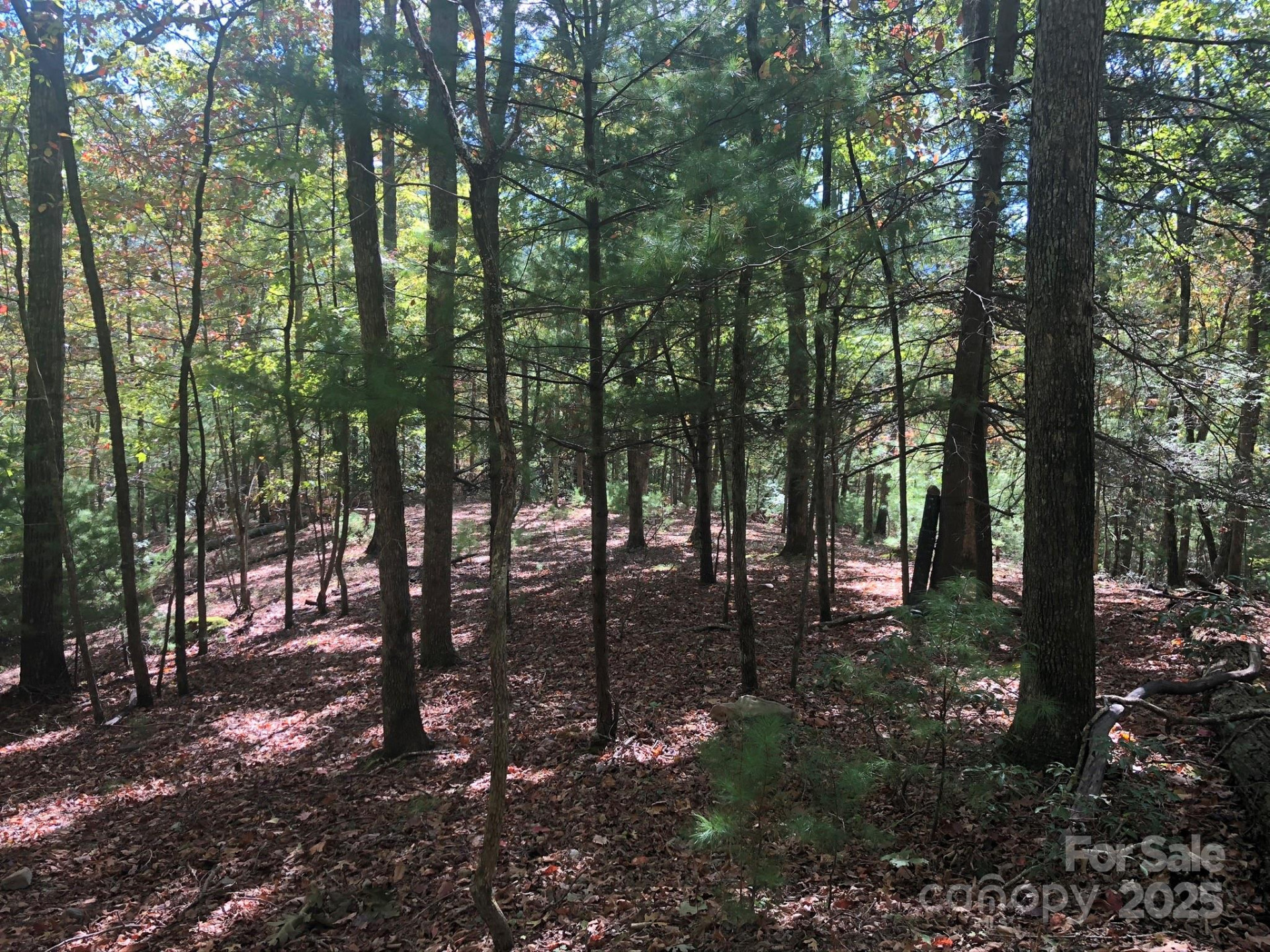 3076 Anderson Cove Road - Photo 36