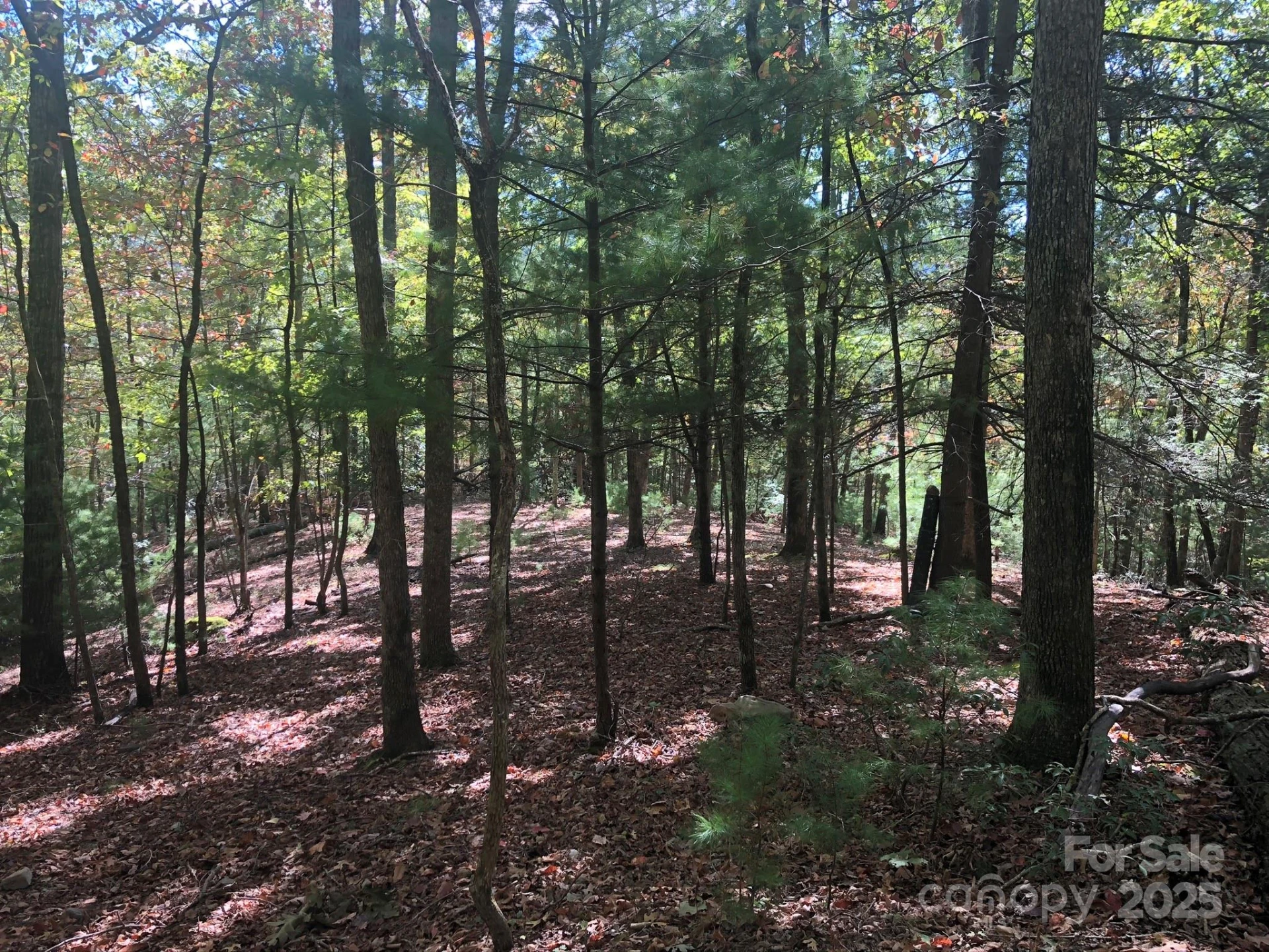 3076 Anderson Cove Road - Photo 36