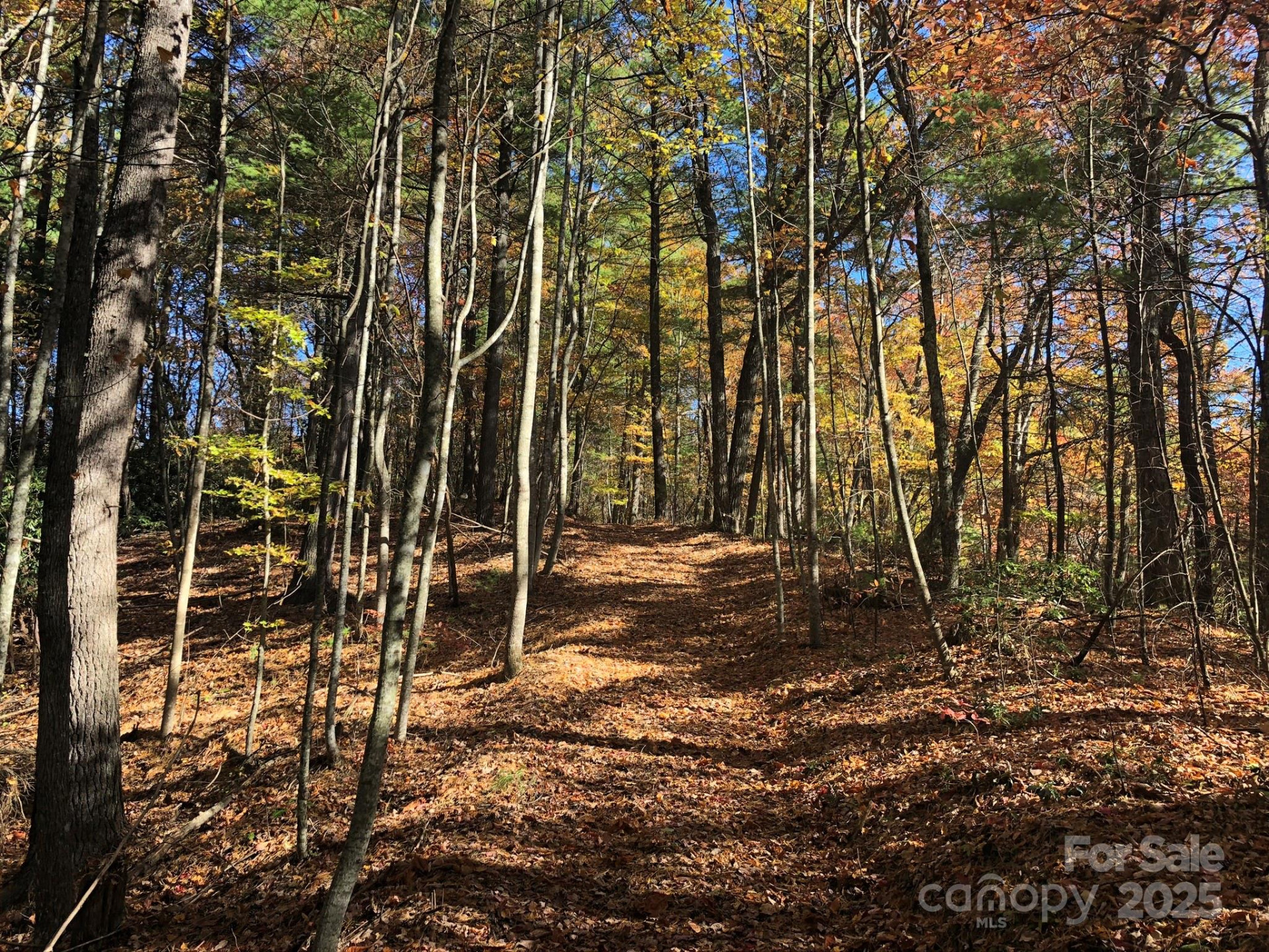 3076 Anderson Cove Road - Photo 37