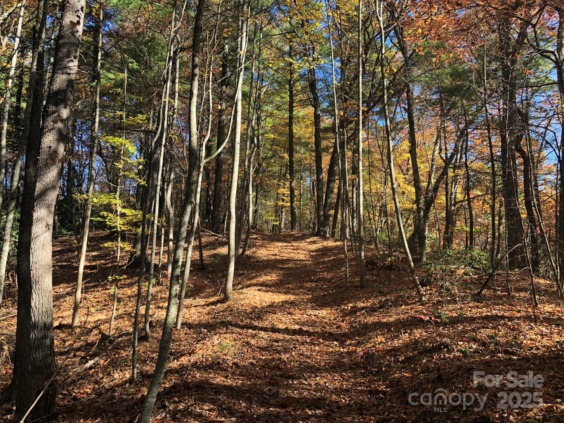 3076 Anderson Cove Road - Photo 37