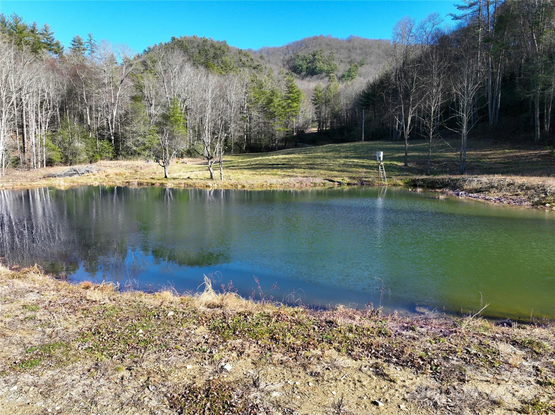 3076 Anderson Cove Road - Photo 43
