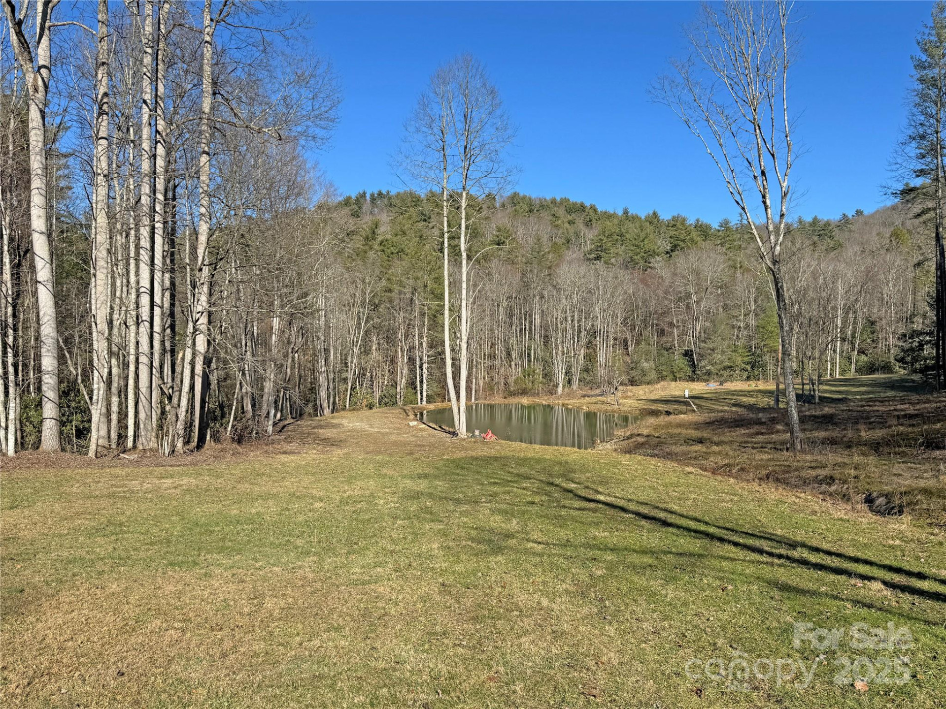 3076 Anderson Cove Road - Photo 44