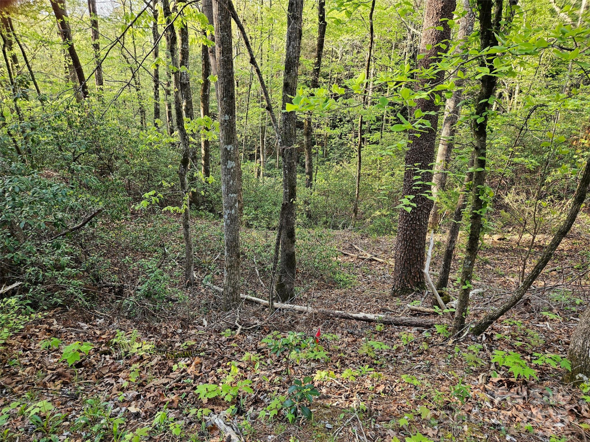 0 Huntington Road #54