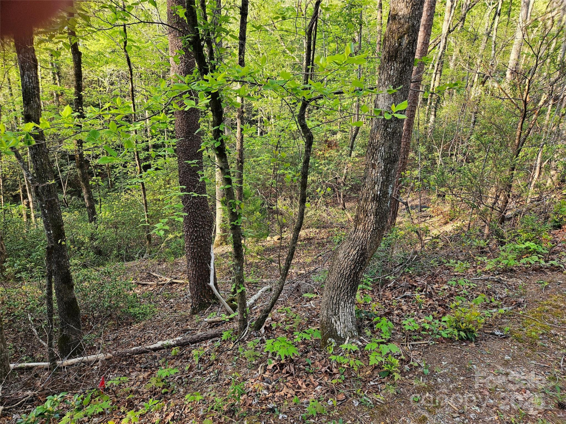 0 Huntington Road #54 - Photo 2