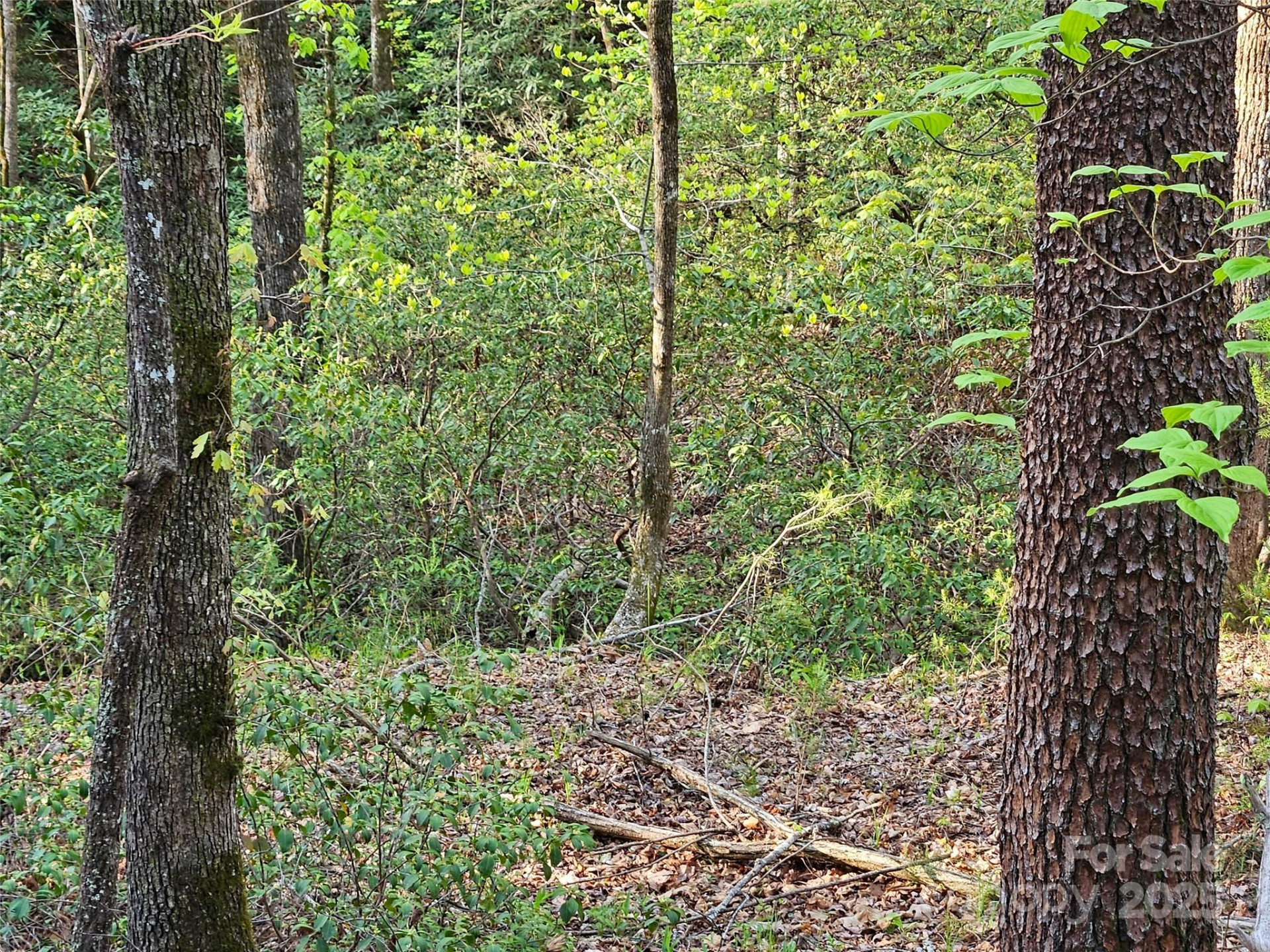 0 Huntington Road #54 - Photo 4