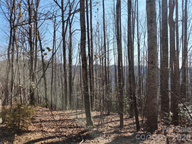 Lots 78&79 McKenzie Way, Old Fort, NC, 28762