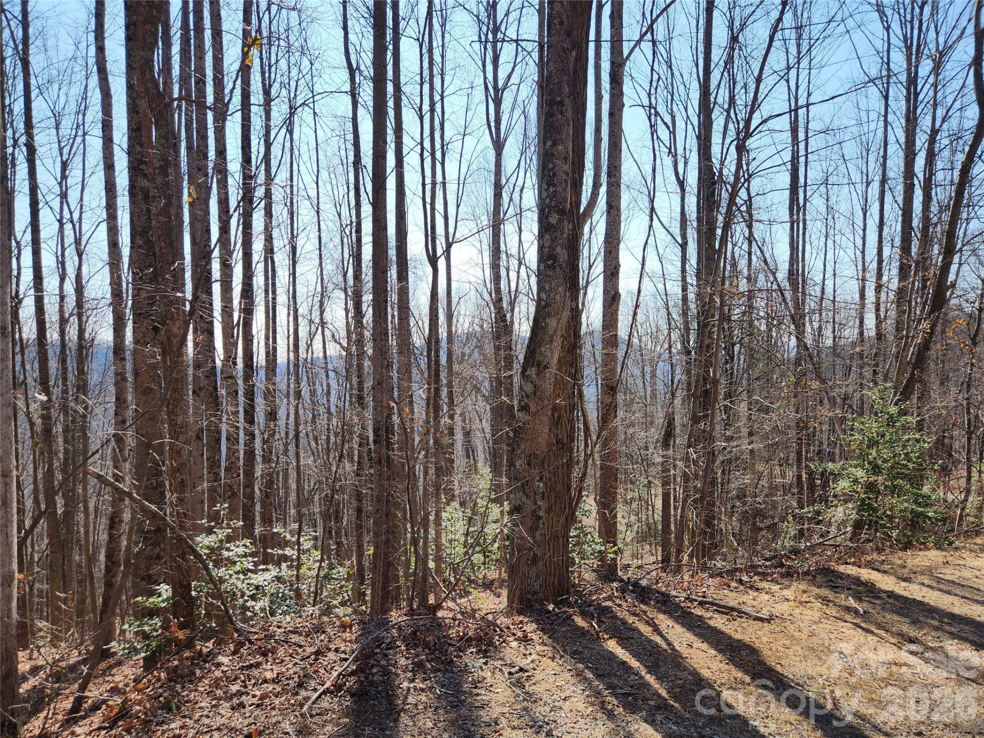 Lots 78&79 McKenzie Way - Photo 3