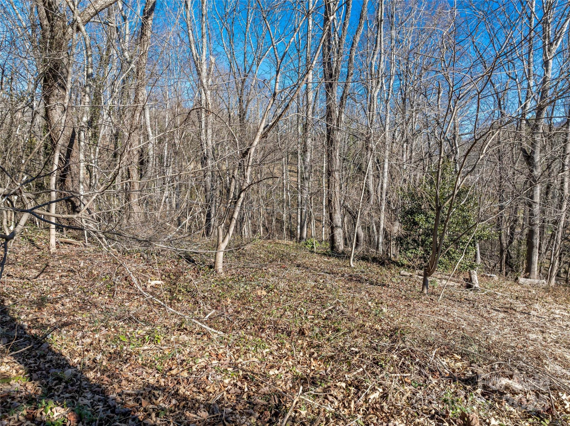 7 Kiftsgate Court #15 - Photo 21