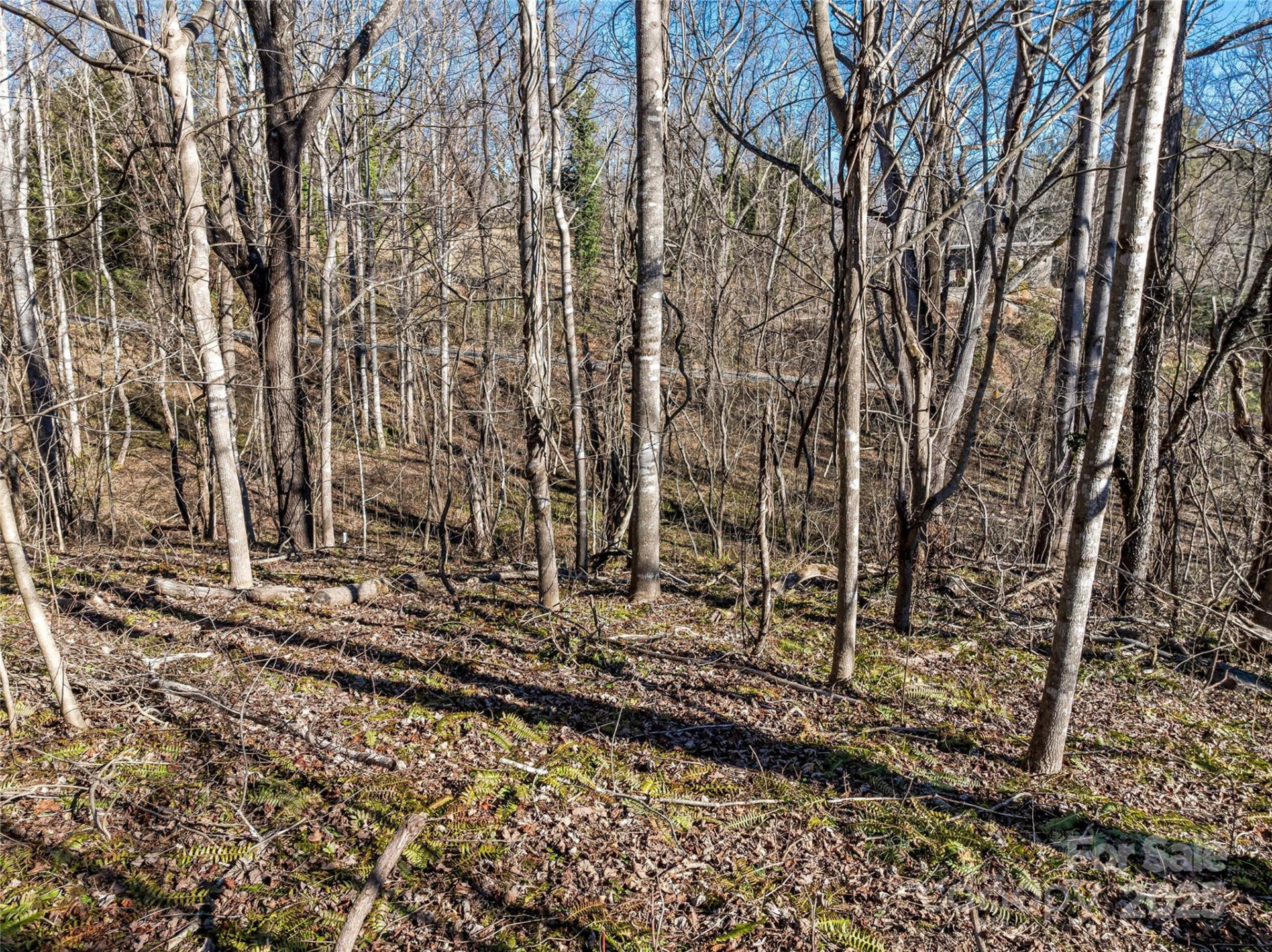 7 Kiftsgate Court #15 - Photo 23