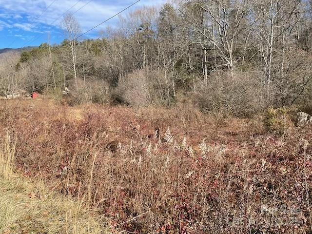 Off Mackey Creek Road