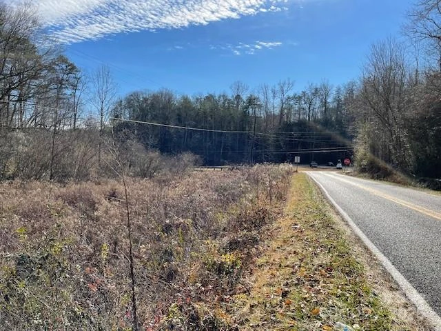 Off Mackey Creek Road - Photo 2