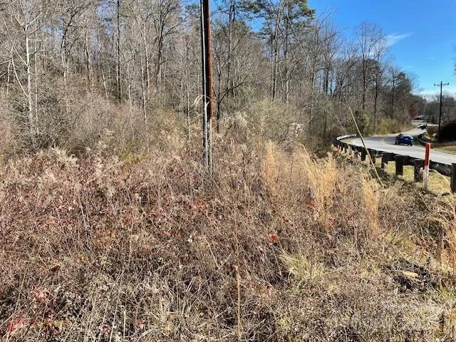 Off Mackey Creek Road - Photo 3