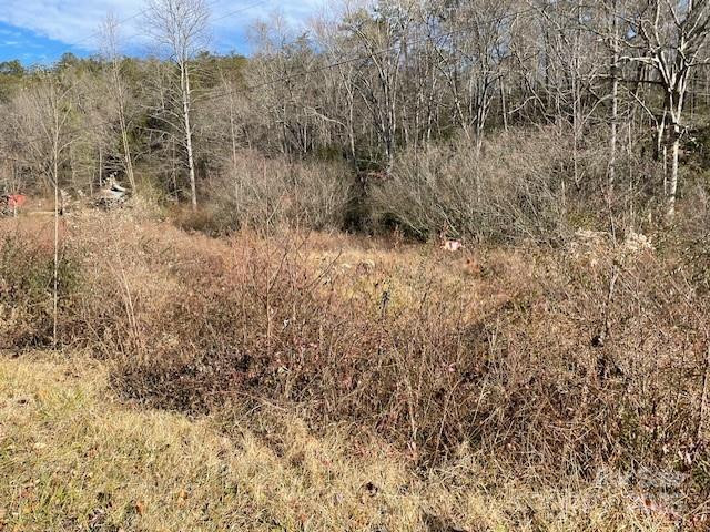 Off Mackey Creek Road - Photo 4