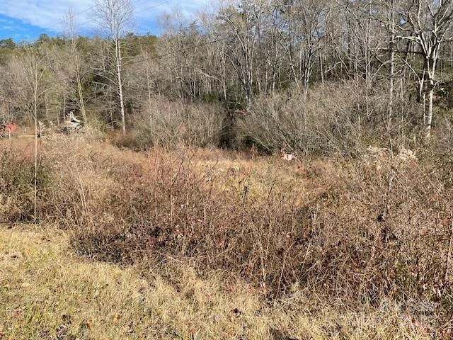 Off Mackey Creek Road - Photo 4