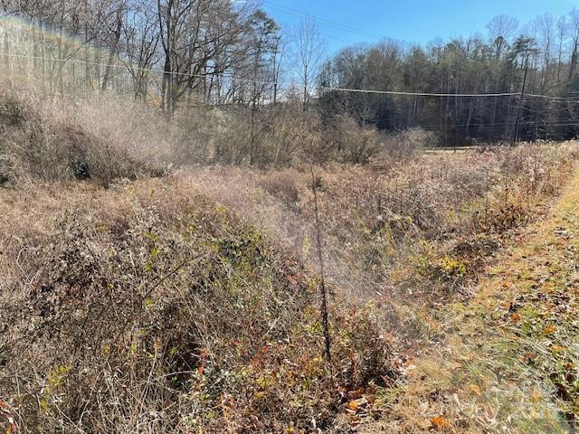 Off Mackey Creek Road - Photo 6