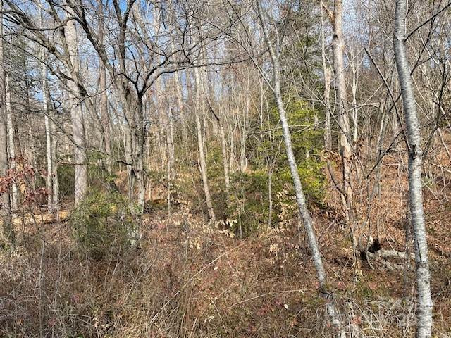 Off US 70 Highway W Highway - Photo 2