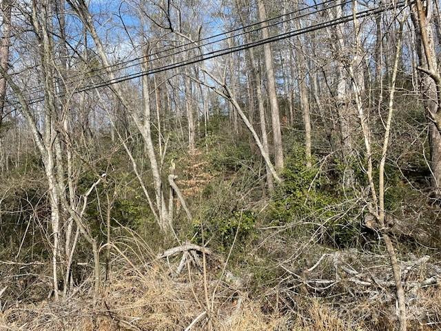 Off US 70 Highway W Highway - Photo 4