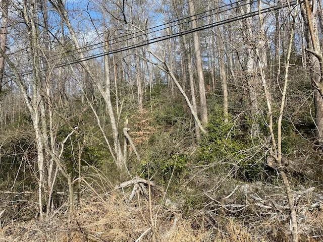 Off US 70 Highway W Highway - Photo 4