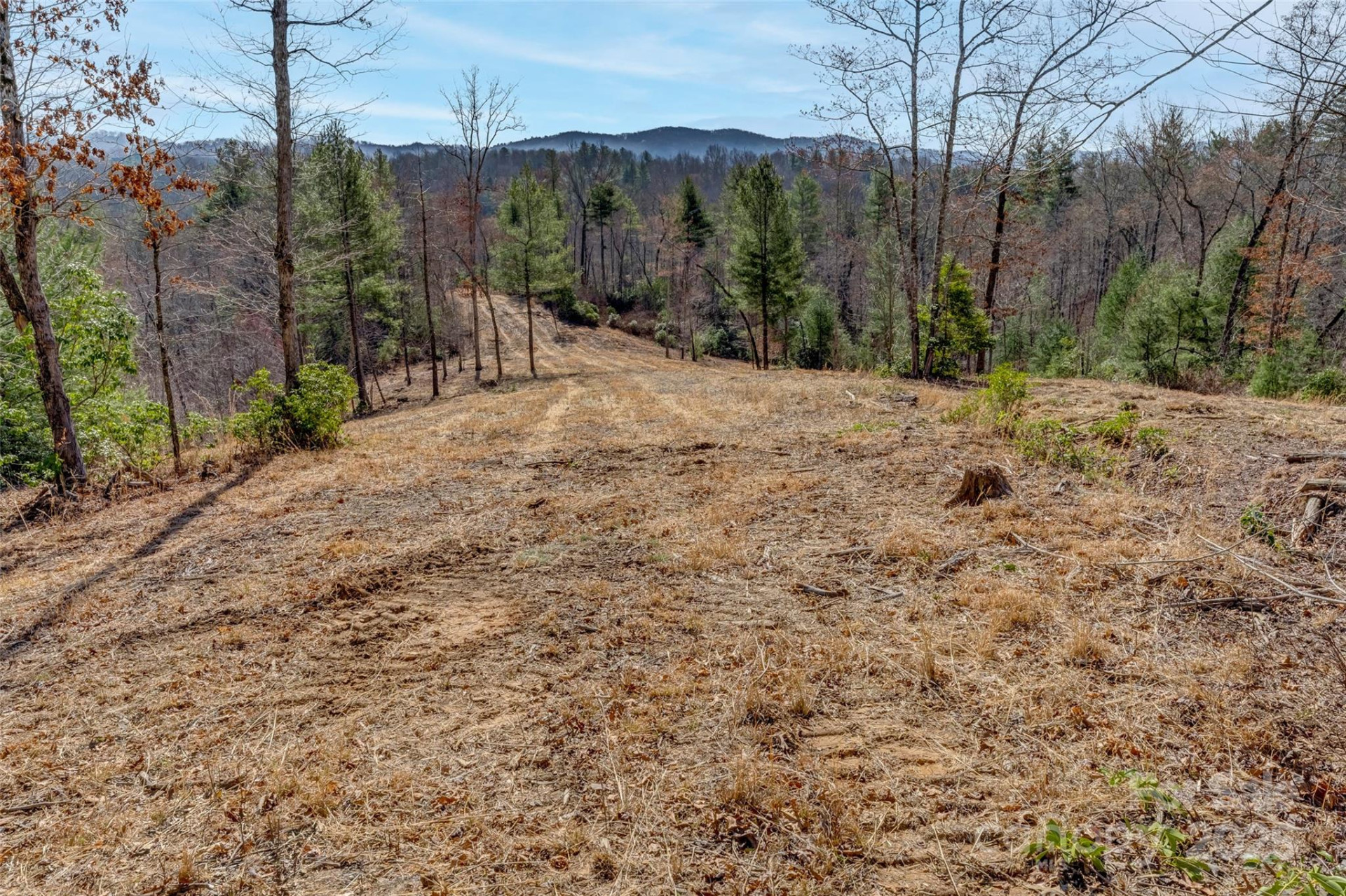 Lot 3 Walnut Hollow Road