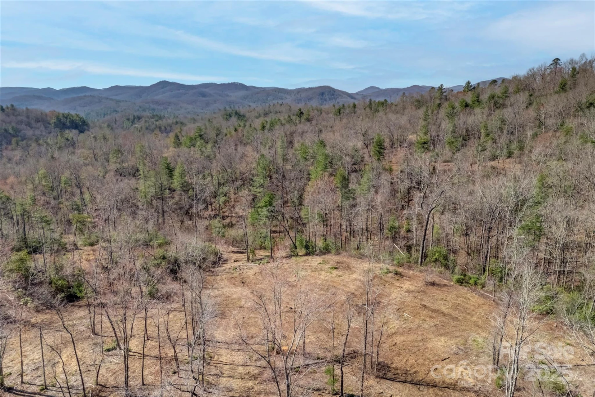Lot 3 Walnut Hollow Road - Photo 2