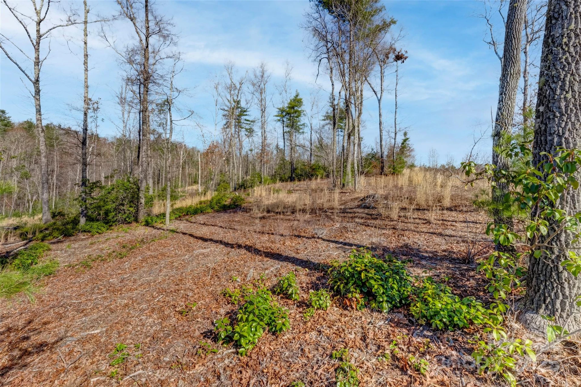 Lot 3 Walnut Hollow Road - Photo 11