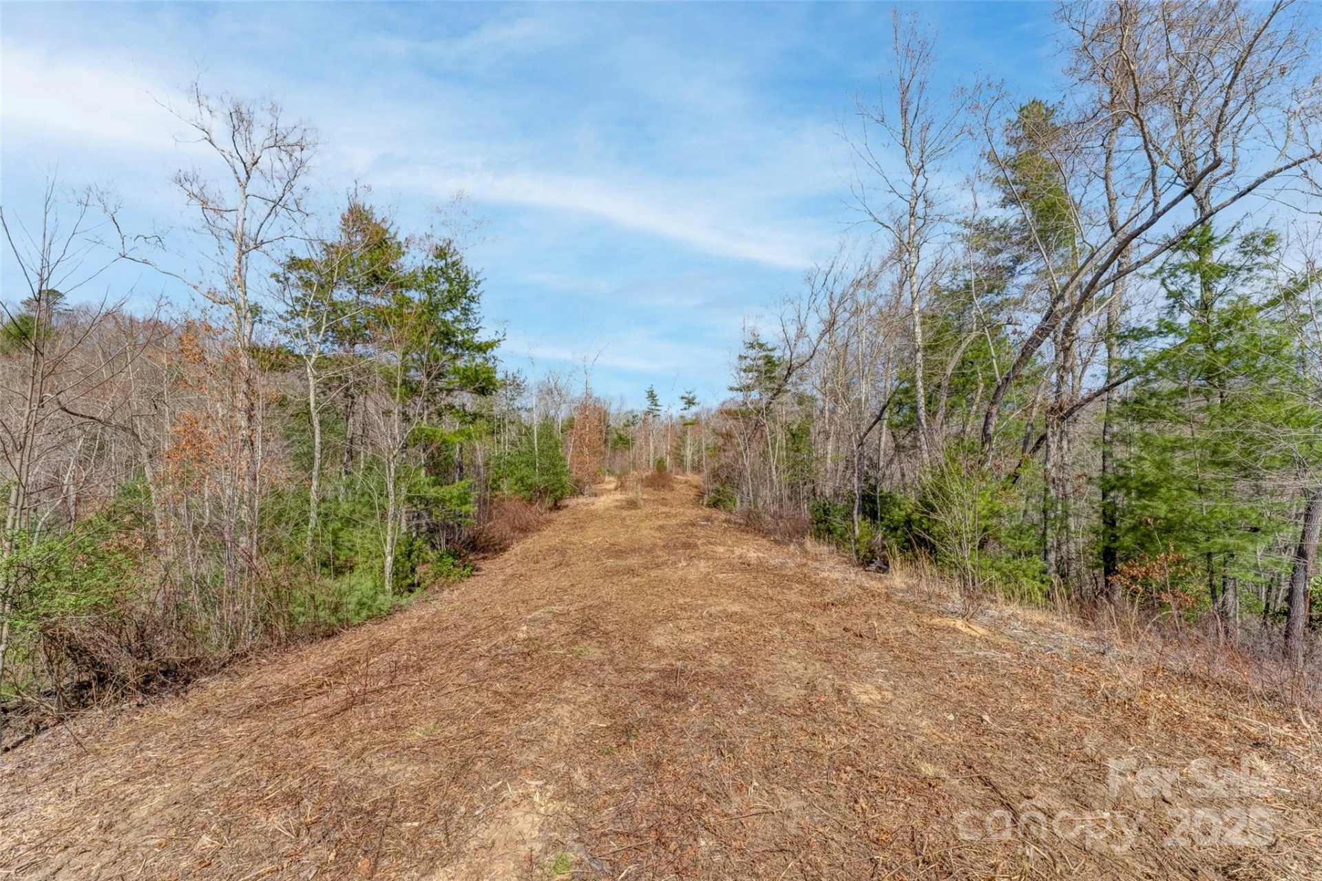 Lot 3 Walnut Hollow Road - Photo 12