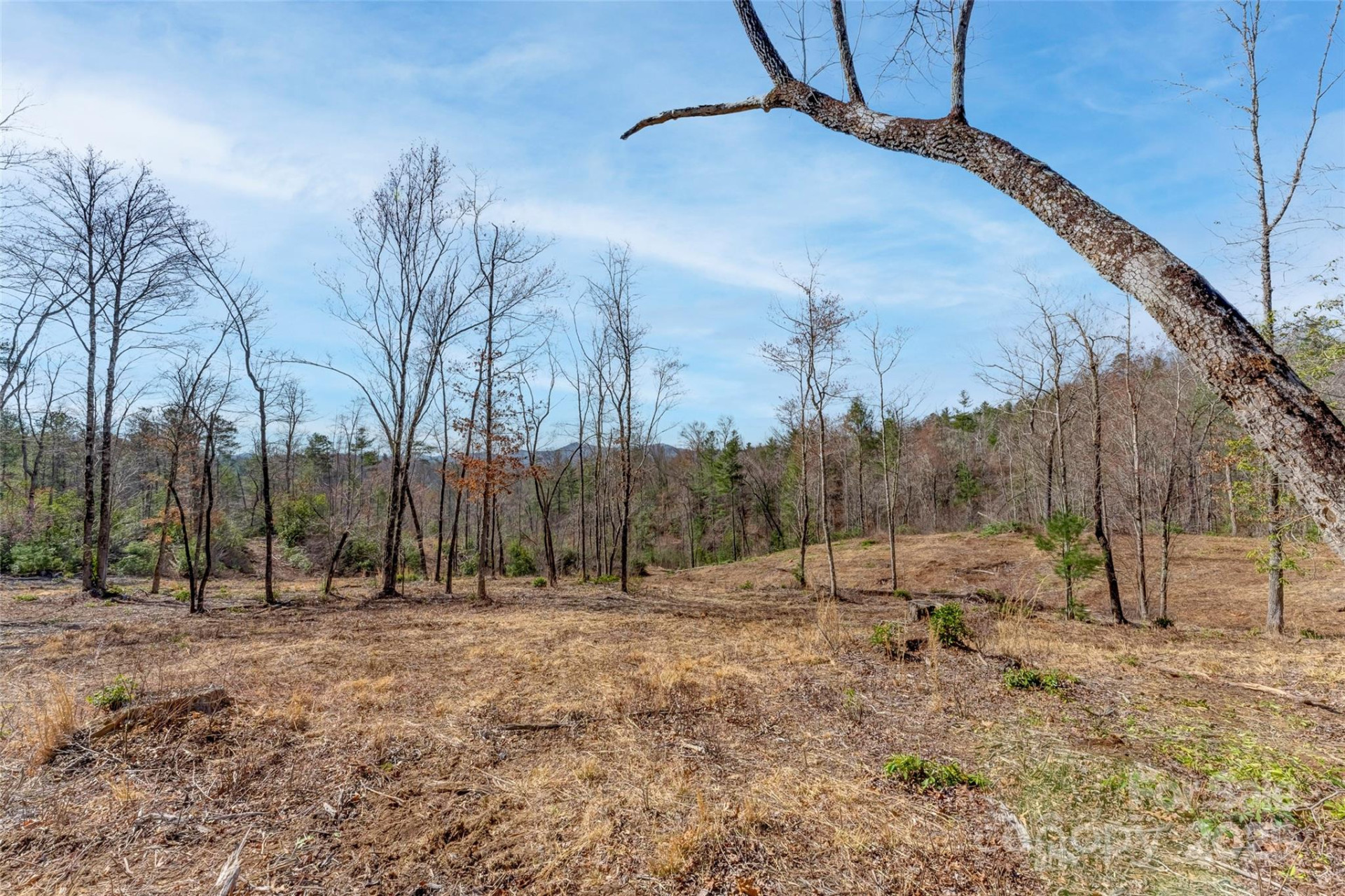 Lot 3 Walnut Hollow Road - Photo 13