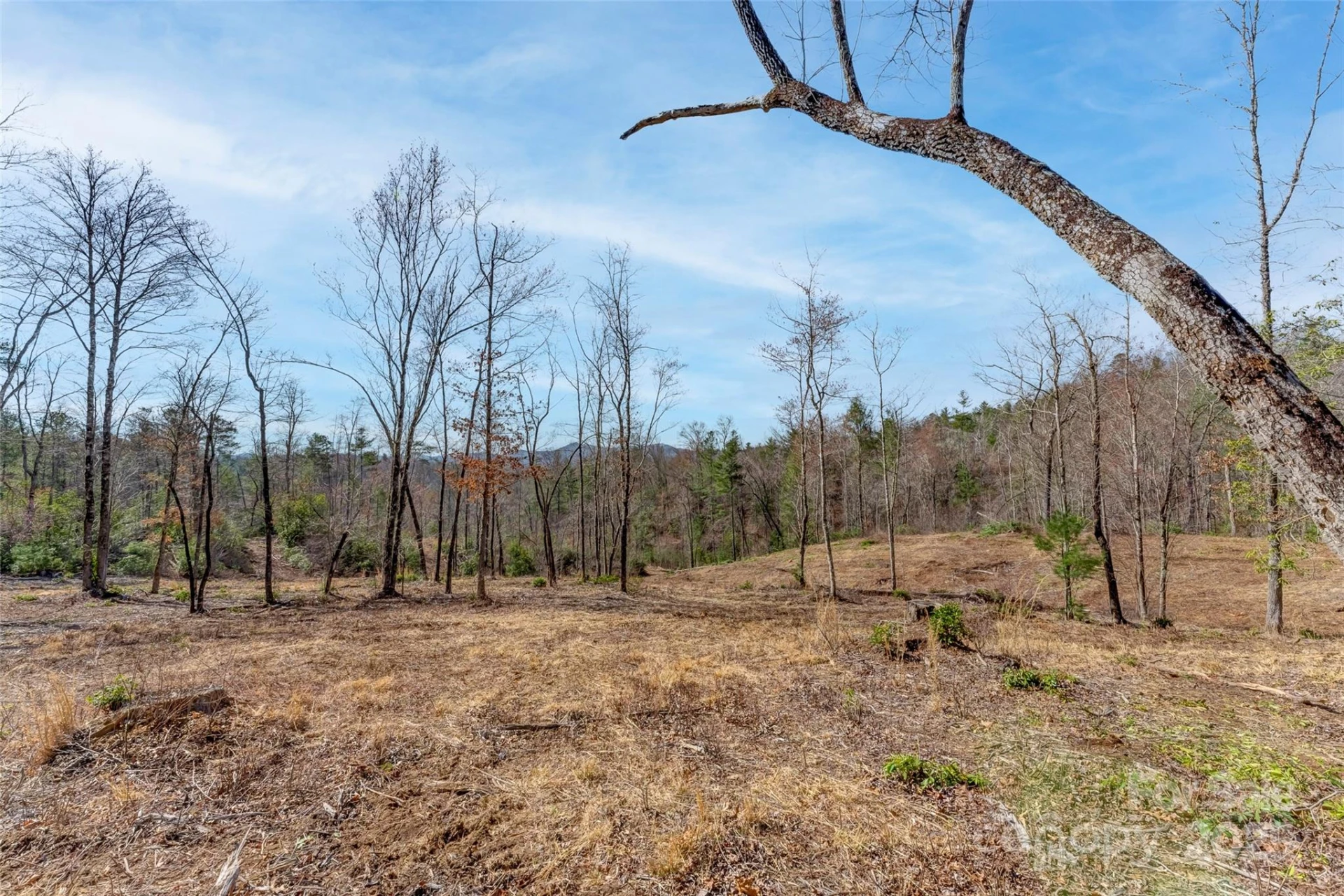 Lot 3 Walnut Hollow Road - Photo 13