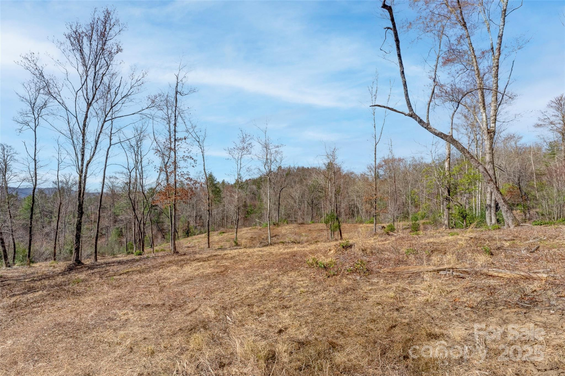 Lot 3 Walnut Hollow Road - Photo 14