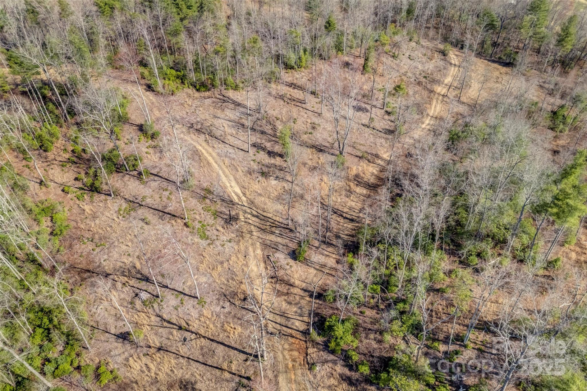Lot 3 Walnut Hollow Road - Photo 17