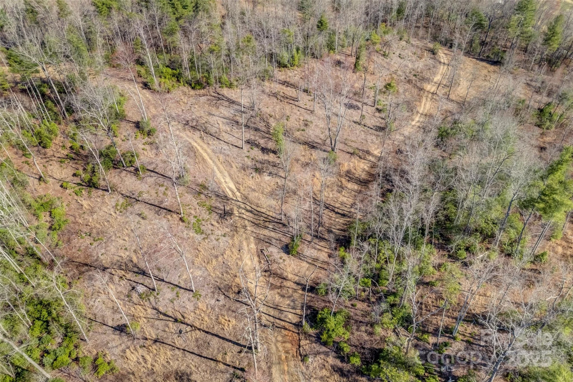 Lot 3 Walnut Hollow Road - Photo 17
