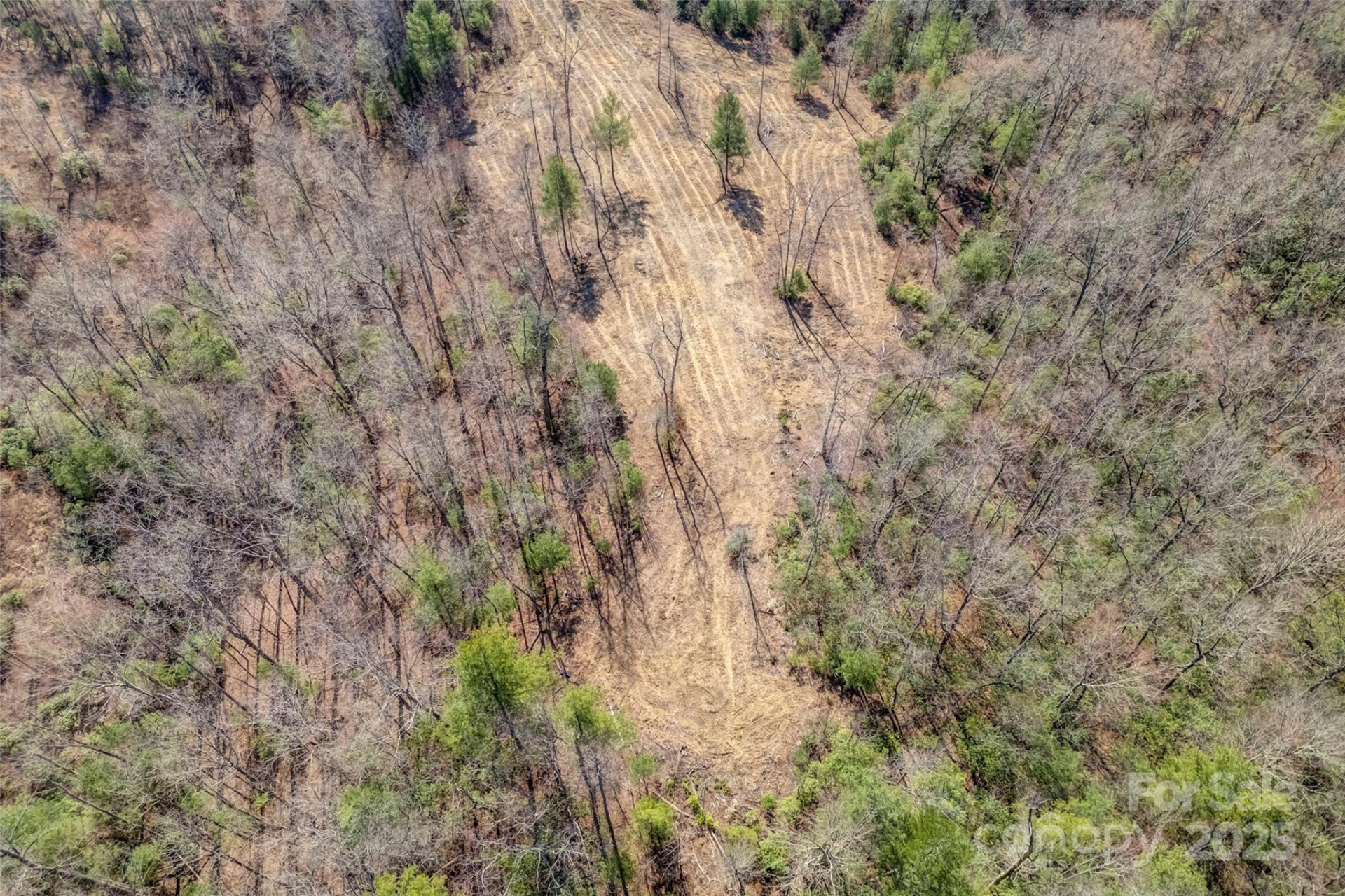 Lot 3 Walnut Hollow Road - Photo 19