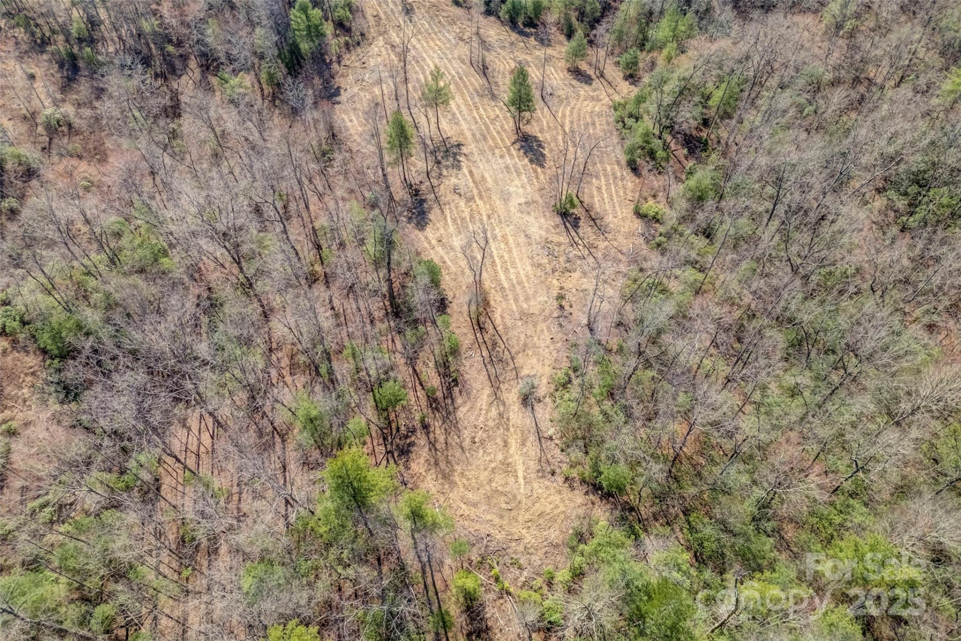 Lot 3 Walnut Hollow Road - Photo 19