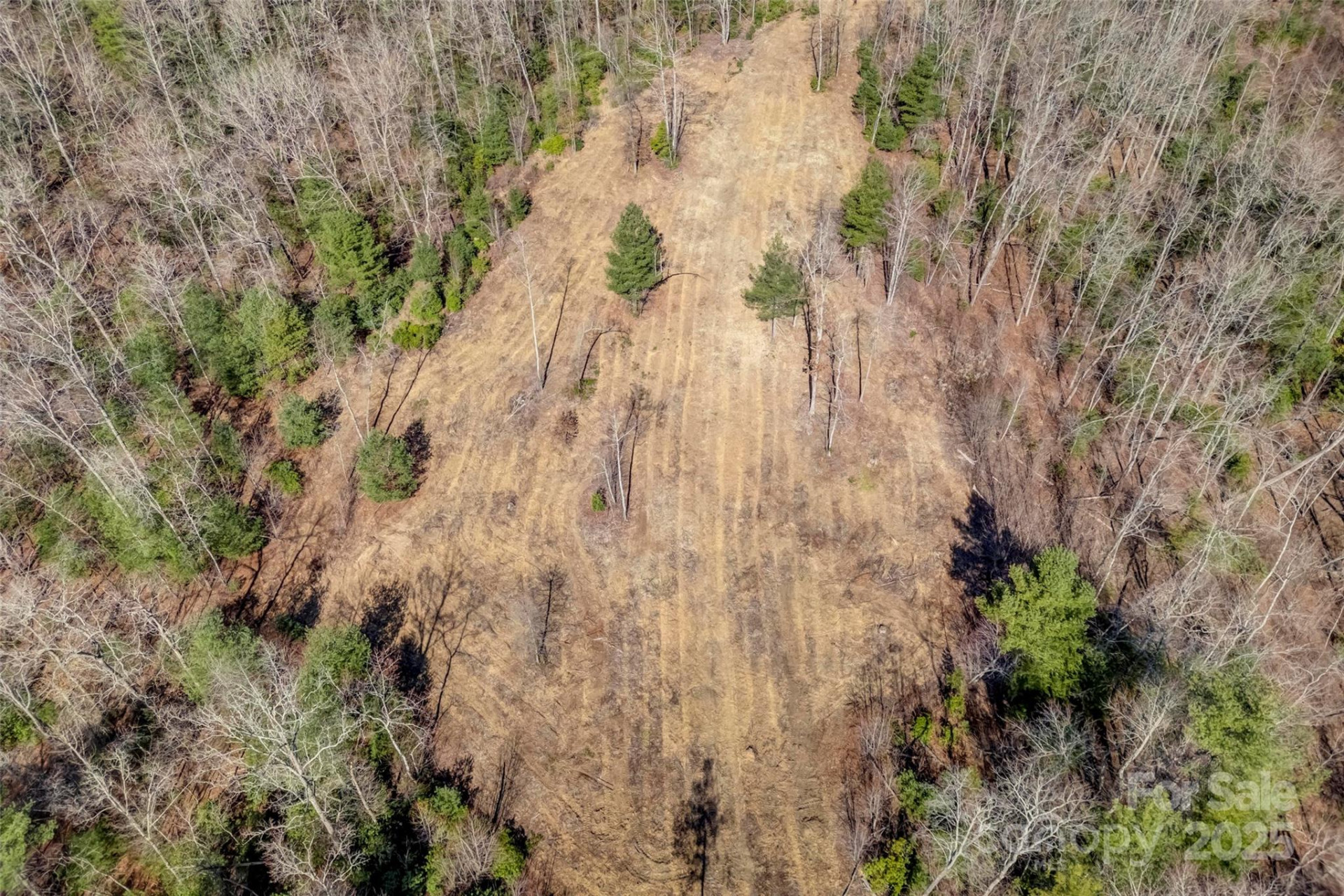 Lot 3 Walnut Hollow Road - Photo 20