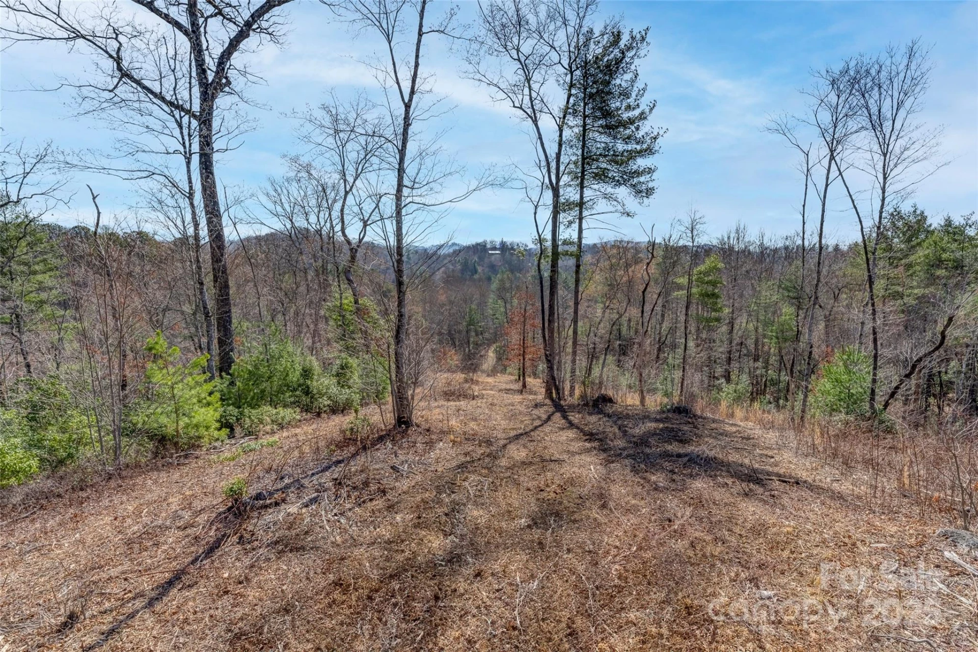 Lot 3 Walnut Hollow Road - Photo 3